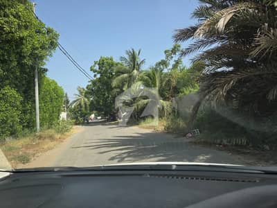 Corner Plot For Sale Near Hafiz Prime Location Corner Plot For Sale Near Hafiz Prime Location