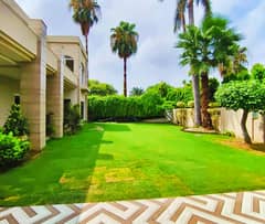 1 Kanal Upper Portion For Rent In Phase 1