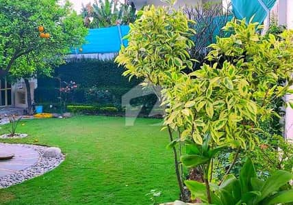 Front Back Open Livable House for Sale in F-6