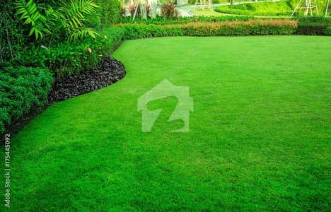 Offer Offer - Low Price Property In F-7 2 Islamabad