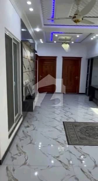 Brand New House Is For Rent