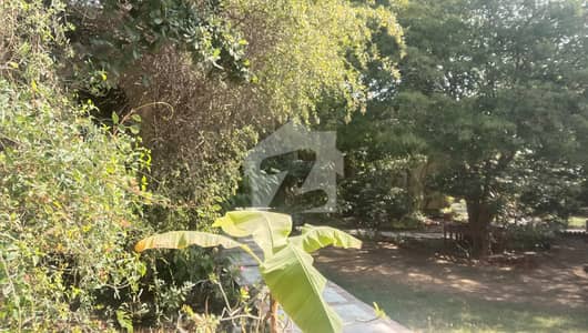 1000 Yard Old Bungalow On Main Karsaz Road Facing 2 Side Corner