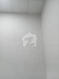 1 1
