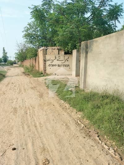 شرقپور روڈ شیخوپورہ میں 152 کنال Studio فیکٹری 38.0 کروڑ میں برائے فروخت۔