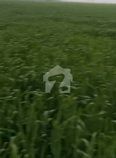 Agricultural Land Available For Sale