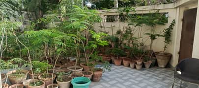 Complete Bungalow For 310 Lac With Guard And Two Cars Parking Near Beautiful Family Park Proper 5 Bedrooms Ready To Move And Much Much More WoW