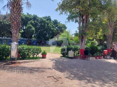 84 Marla Commercial Plot for Sale on Ali Pur Road Khangarh
