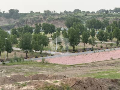 1 Kanal Plot For Sale DHA Phase 6 C3 Ext