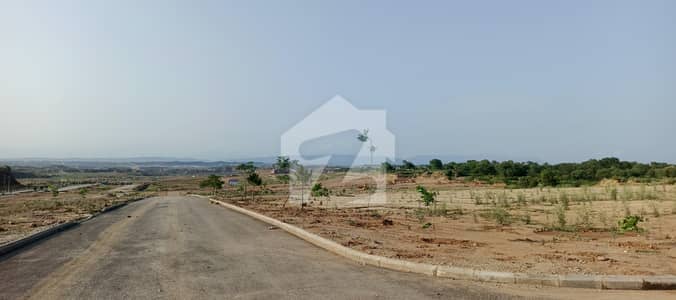 Bluebell Sector 8 Marla Ready Plot For Sale