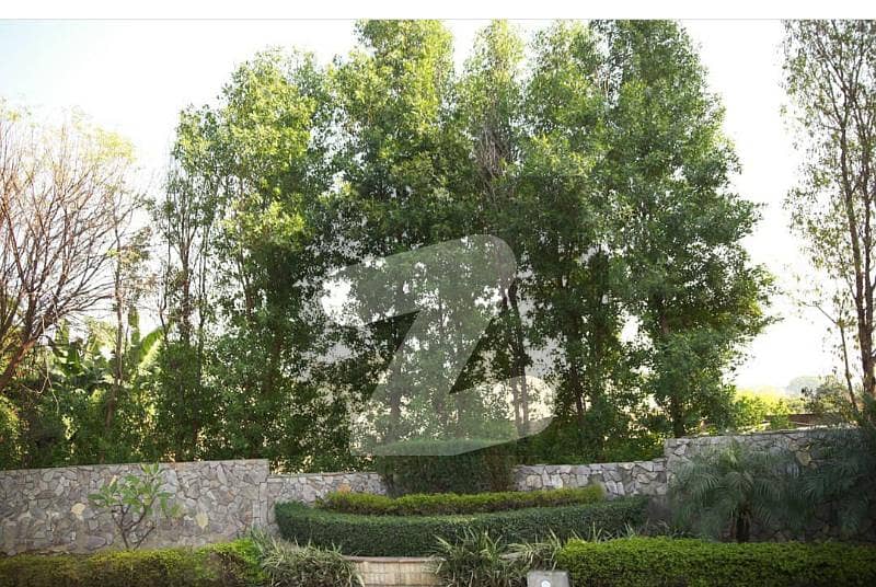 1 ACRE IDEALY LOCATED PLOT 1 ACRE IDEALY LOCATED PLOT