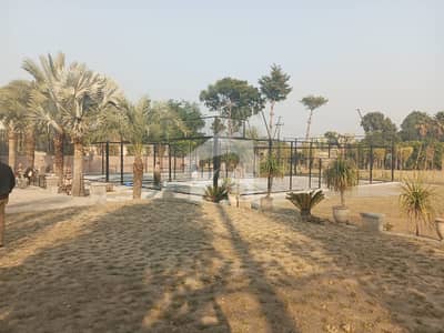 20 KANALS PLOT ON MAIN BEDIAN ROAD FOR SALE 20 KANALS PLOT ON MAIN BEDIAN ROAD FOR SALE