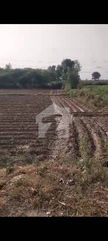 8 Kanal Industrial Plot For Sale In Very Low Price 8 Kanal Industrial Plot For Sale In Very Low Price