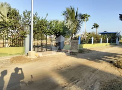 KARACHI BAR 25A 240 SQY CHANCE DEAL PLOT FOR SALE