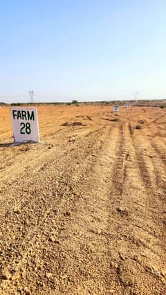 Wali Muhammad Village Land For Sale