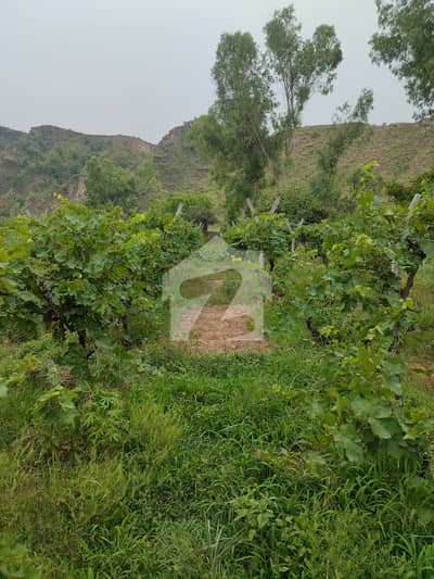 8 Kanal Ownership Farm House Land For Sale On Kalar Syedan Kahuta Road, Rawalpindi