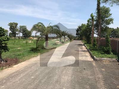 2 Kanal 3 Marla Commercial Paid Near Kalma Chowk 11 Storied Approved Plan Gulberg Lahore 2 Kanal 3 Marla Commercial Paid Near Kalma Chowk 11 Storied Approved Plan Gulberg Lahore