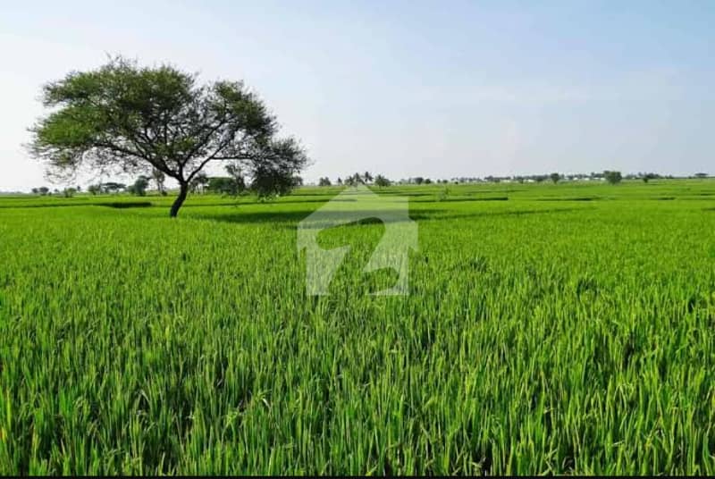 Agricultural Land Available For Sale Agricultural Land Available For Sale