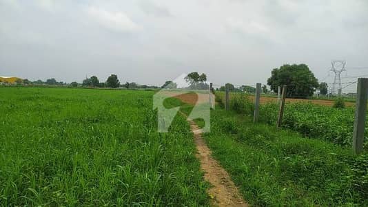 320 Kanal Land For Sale.