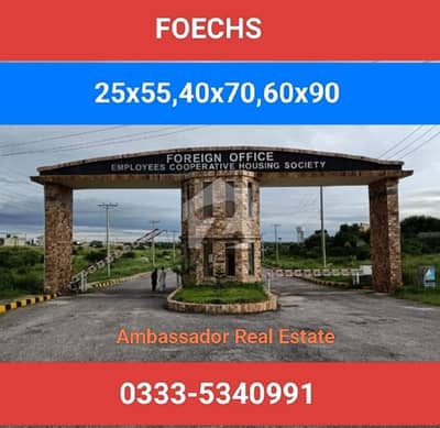 FOECHS D Block Plot 25x55