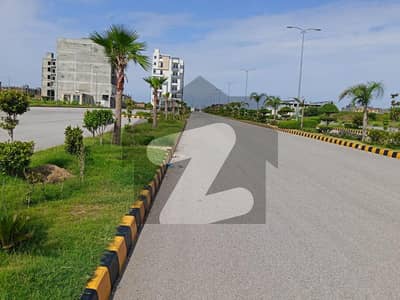 Investor Rate AGG C Block Plot For Sale Solid Land Heighted Area Market School Walking And Very Good Location