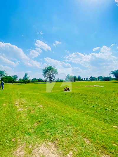 167-Acre Land , With High Productions , Canal Water, Tube Wells , And Beautiful Dera