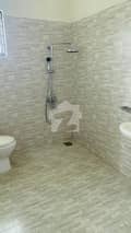 5 5