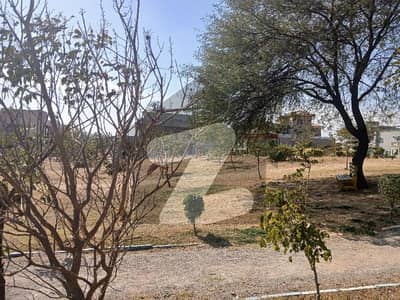 D12/4 500 Sq Yd Main Double Road Plot For Sale D12/4 500 Sq Yd Main Double Road Plot For Sale