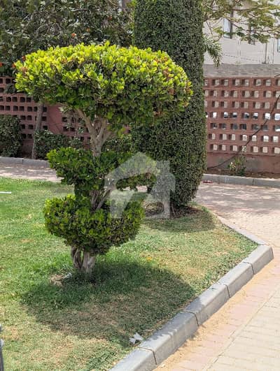 سینٹرل انفارمیشن کوآپریٹیو ہاؤسنگ سوسائٹی سکیم 33,کراچی میں 4 کمروں کا 16 مرلہ بالائی پورشن 1.3 لاکھ میں کرایہ پر دستیاب ہے۔ سینٹرل انفارمیشن کوآپریٹیو ہاؤسنگ سوسائٹی سکیم 33,کراچی میں 4 کمروں کا 16 مرلہ بالائی پورشن 1.3 لاکھ میں کرایہ پر دستیاب ہے۔