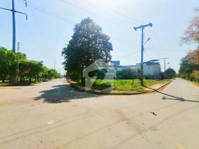8 MARLA COMMERCIAL PLOT FOR SALE MAIN COLLEGE ROAD LAHORE