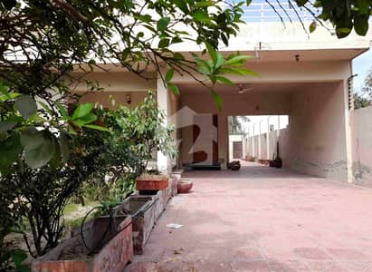 green fortus 2 House for rent