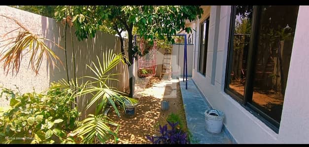 10 Marla house for rent