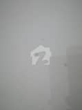 17 17