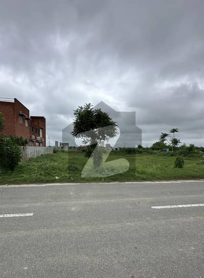 Hot Location Near Park DB Pol Clear Plot For Sale