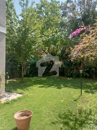 6 Bedroom House For Rent In F-7 Lush Green Lawn &Amp; Scenic Views