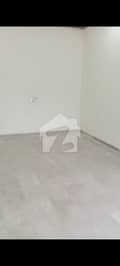 31 31