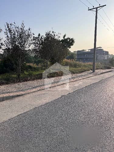 35x70 Plot Available For Sale On MDR D17 Extension