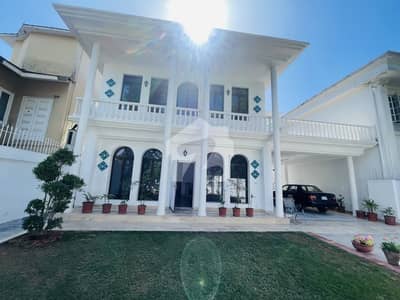 Luxury Renovated House