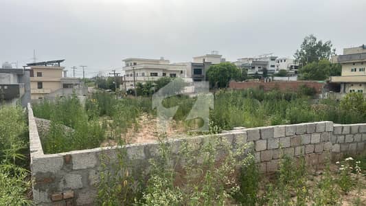 20 Marla Plot For Sale