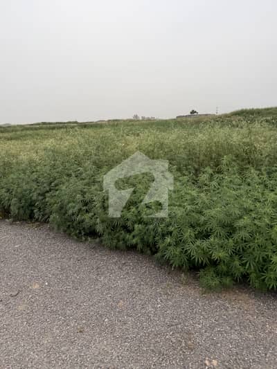 30x60 Ideal Location Plot For Sale I-12/1 890 Series