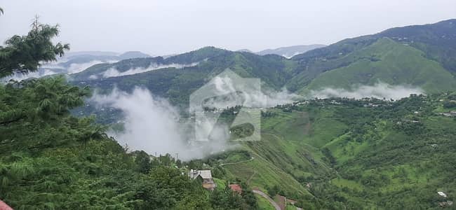 بانسرہ گلی مری میں 8 کمروں کا 5 مرلہ مکان 2.5 کروڑ میں برائے فروخت۔