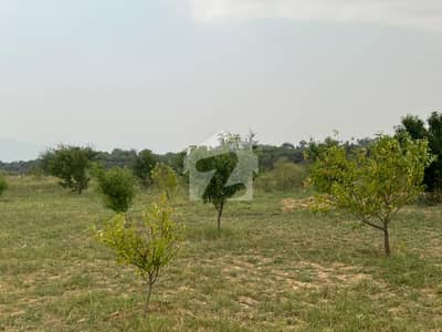 196 Kanal Developed Farm House Land & Wilderness Estate For Sale Dina, Jhelum