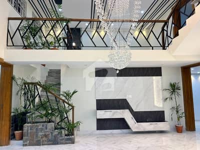 Designer House Available For Rent
