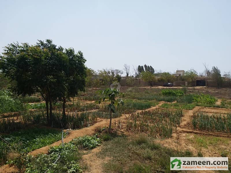 Agricultural Farm Houses Land Available For Sale Dhabeji, Karachi