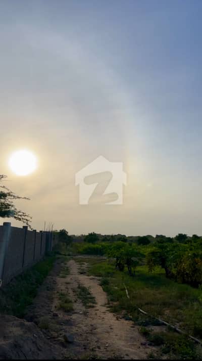 2 Acre 27 Ghunte Agricultural Land For Sale On Main Road In Darsano Channa Ideal For Farming & Investment