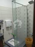 10 10