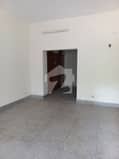 6 6