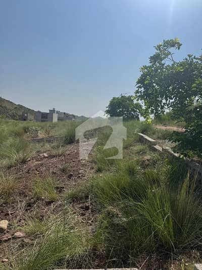 بنی گالہ اسلام آباد میں 5 مرلہ رہائشی پلاٹ 35.0 لاکھ میں برائے فروخت۔