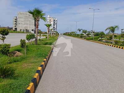 Investor Rate AGG C Block Plot For Sale Solid Land Heighted Area Market School Walking And Very Good Location