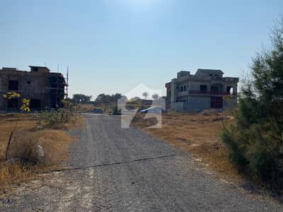 Plot For Sale Solid And Good Location E Block