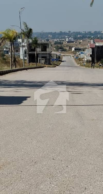 1 Kanal Heighted & Level Plot On 60 Feet Road In Block B